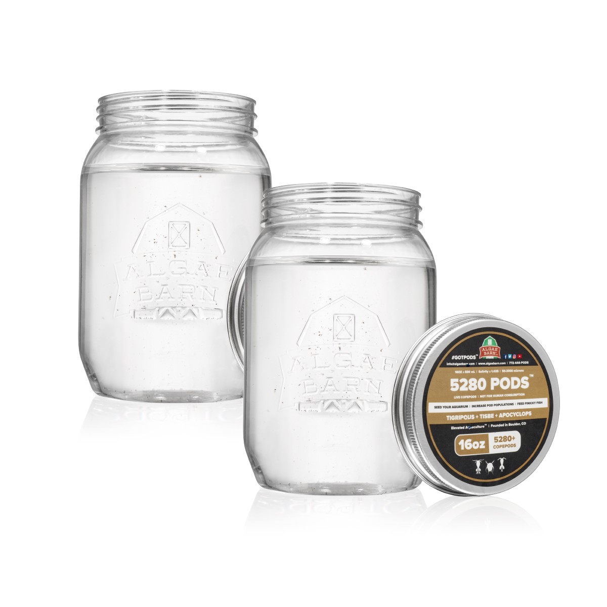 5280 Pods 10560+ (32 oz) Live Three Species Copepods Mix (Tig, Tisbee & Apo) - Algae Barn