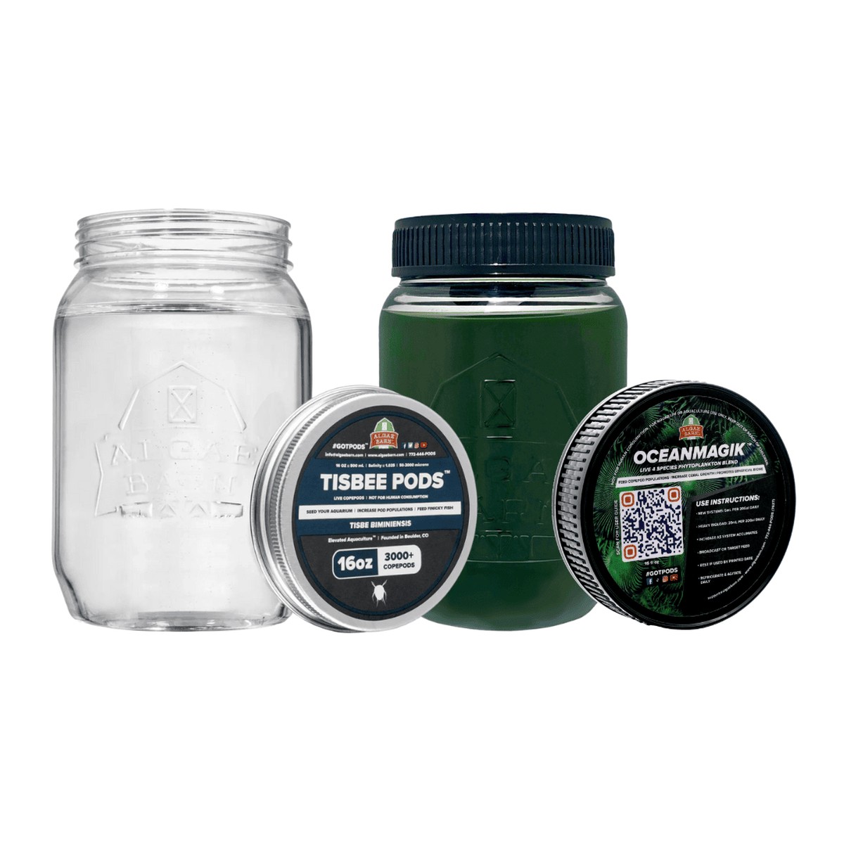 6000+ Tisbee Live Copepods & OceanMagik Phyto Combo Pack (32 oz of each) - Algae Barn